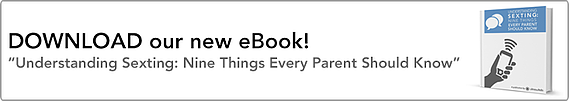 sextingebookbanner